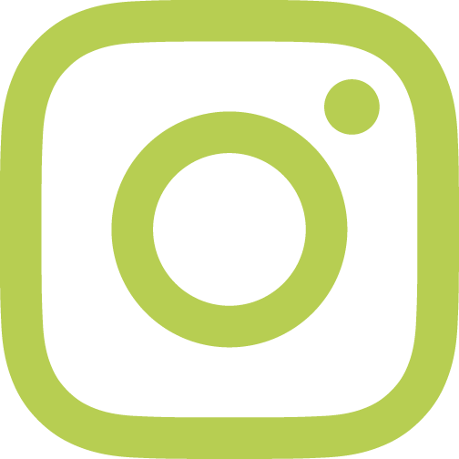 FRANGin_picto_insta-vert